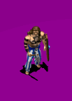woadraider.gif (35635 Byte)